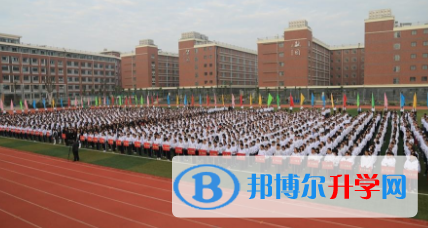 绵阳东辰国际学校2023年招生计划