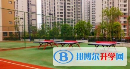 重庆史迪威外语学校2023年招生办联系电话