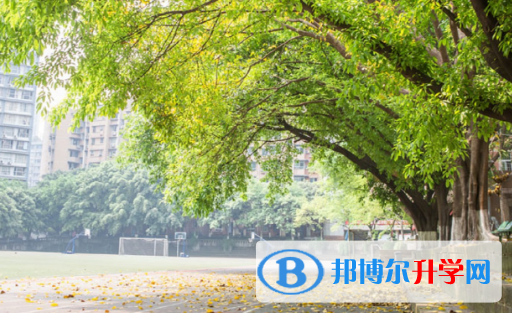 重庆第八中学国际部2023年报名条件、招生要求、招生对象