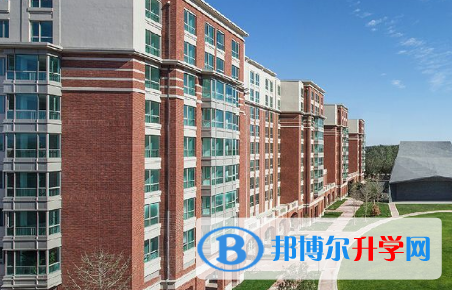 北京鼎石国际学校2023年招生计划