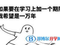 2020年遵义中考落榜的出路