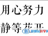 2020年遵义中考后计划