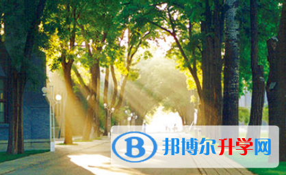 北京潞河国际教育学园2023年学费、收费多少