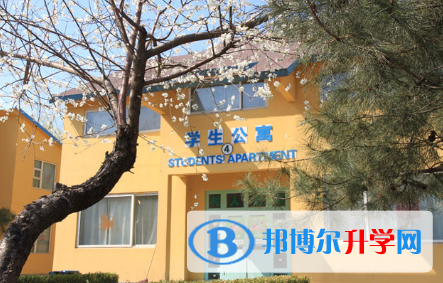北京私立树人·瑞贝学校2023年招生办联系电话