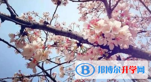合肥新华公学怎么样、好不好