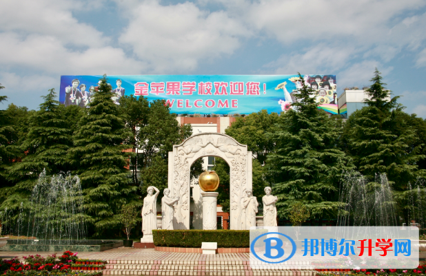 上海金苹果双语学校2023年招生简章