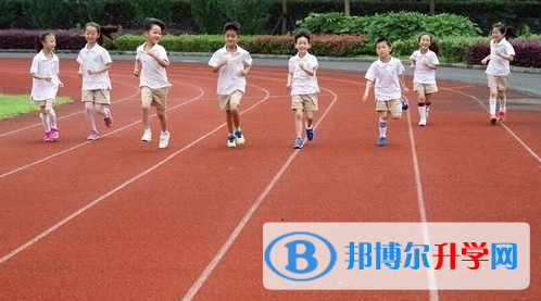 上海新清华博世凯外国语学校2023年报名条件、招生要求、招生对象