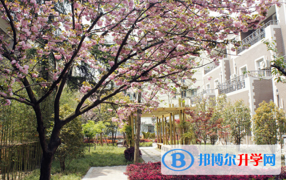 美国巴斯图高中2023年学费、收费多少
