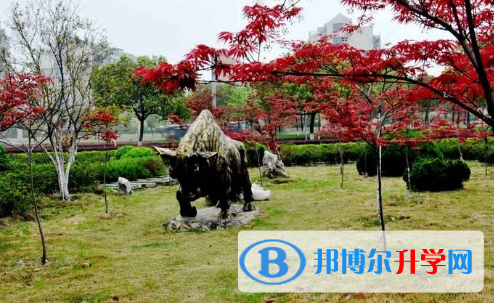 HDC中韩双语高中地址在哪里