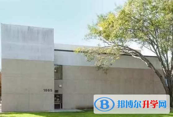 斯代文森国际学校网站网址 