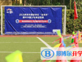 深圳曦城协同国际学校2023年学费、收费多少