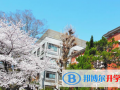 深圳曦城协同国际学校2023年招生办联系电话