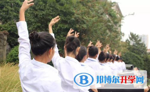 深圳哈博学校2023年报名条件、招生要求、招生对象