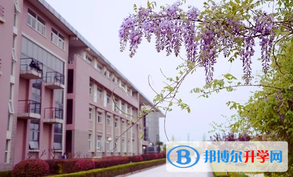 南京财经大学国际经贸学院怎么样、好不好