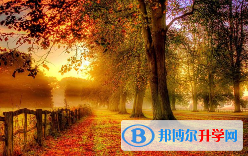  2020铜仁外地生中考怎没成绩