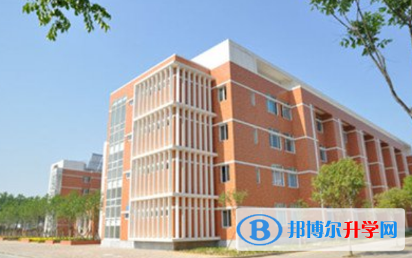 南京外国语学校国际部2020年招生办联系电话