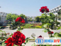 南京师范大学附属实验学校国际部网站网址