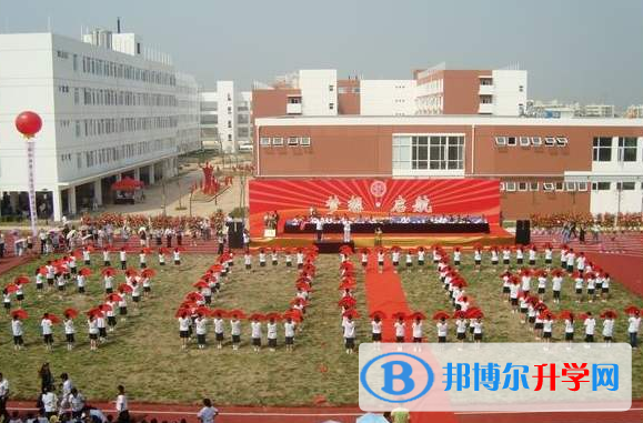武汉为明国际学校小学部2020年学费、收费多少