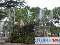 成都洛带中学2025年招生计划