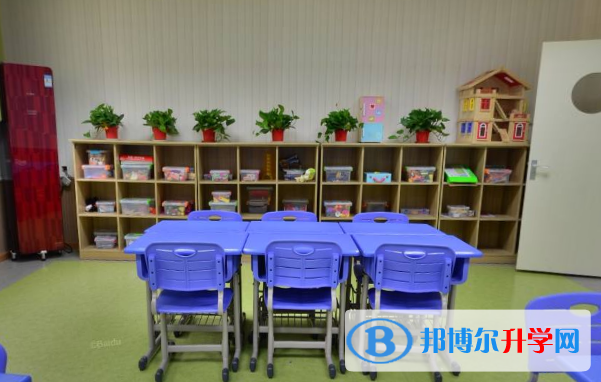 徐州爱尔国际学校初中部2020年招生计划