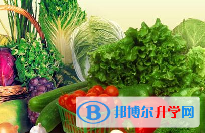 2020年黔西南中考期间的饮食