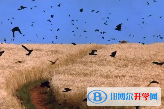  2020年黔西南中考注意事项