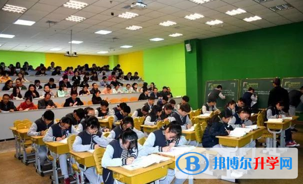 河南师大附中双语国际学校小学部2020年招生简章