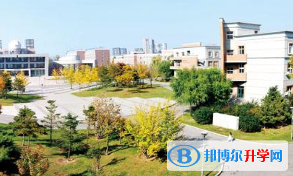 东北育才学校国际高中2020年招生办联系电话