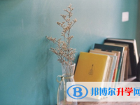 2020年玉溪中考怎样调剂