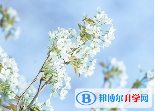  2020年玉溪中考怎样改志愿