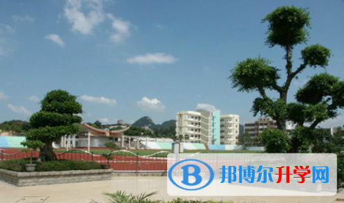柳州铁路第一中学国际部网站网址 