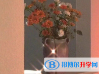 2020年玉溪中考预估重