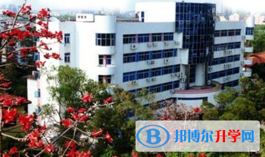 南宁三中国际学校小学部2020年招生办联系电话