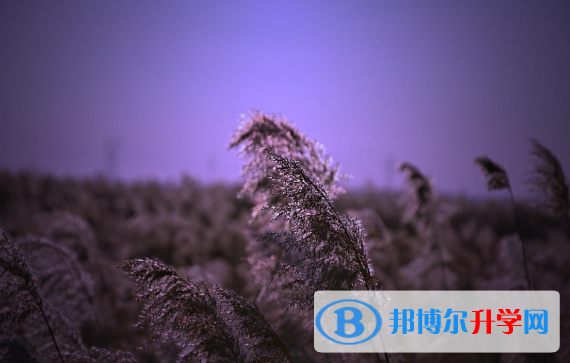 2020年玉溪中考准考证