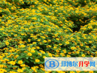 2020年玉溪中考状元