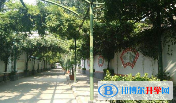 陕西师范大学附中英中培训中心2020年报名条件、招生要求、招生对象