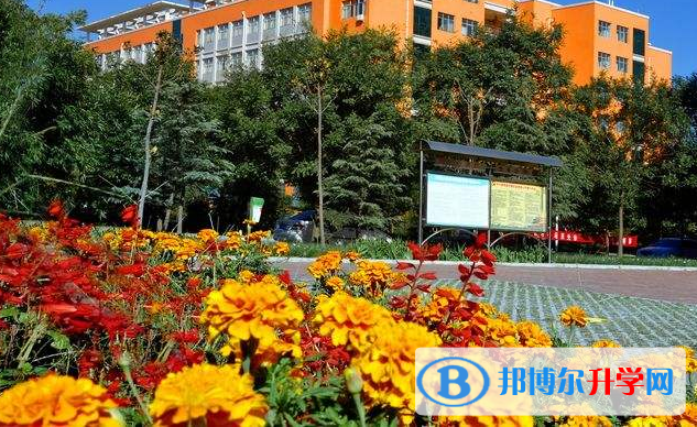 陕西师范大学附中英中培训中心怎么样、好不好