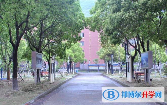 宁波光华学校国际部网站网址 