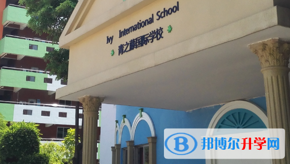 深圳青之藤国际学校网站网址 