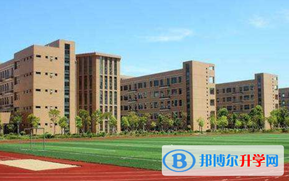 上海金山杭州湾双语学校2023年招生简章