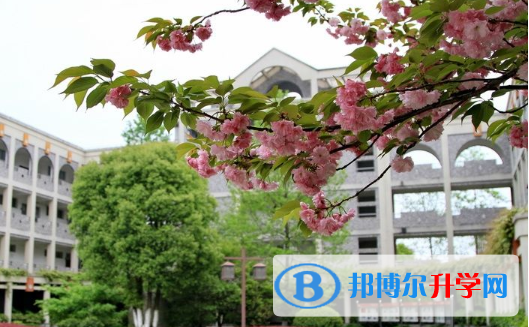 天津泰达枫叶国际学校2020年招生计划