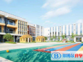南京外国语学校仙林分校怎么样
