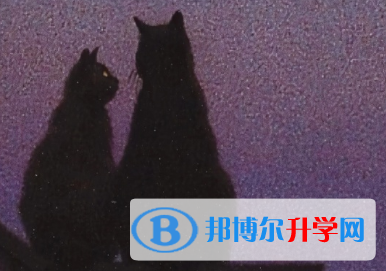 2020年丽江中考是什么