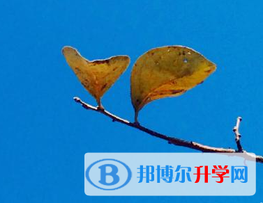 2020年丽江中考是多少科