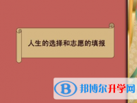 2020年丽江中考模拟填报志愿