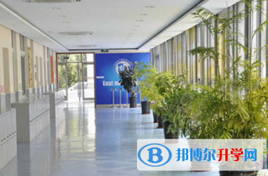 上海教科实验中学国际部网站网址 
