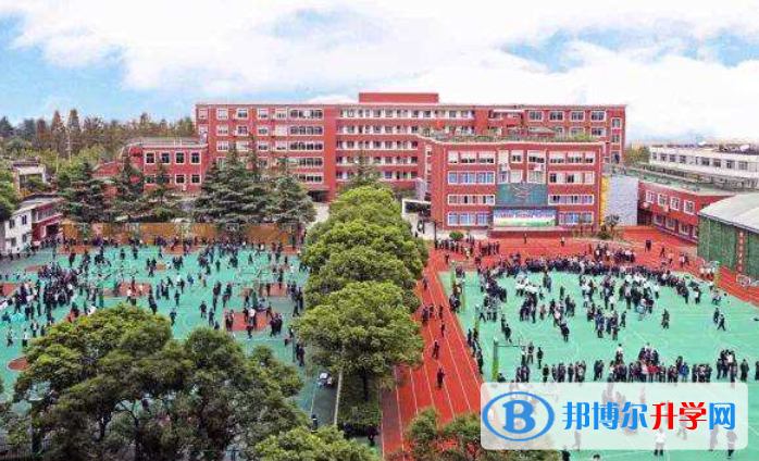 上海西南位育中学国际部2023年招生办联系电话