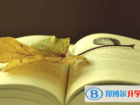 2020年思茅中考体育成绩对照表