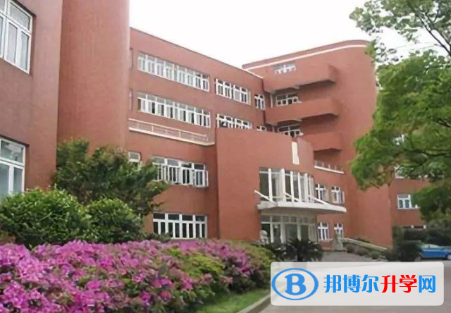 上海新虹桥中学国际部网站网址 
