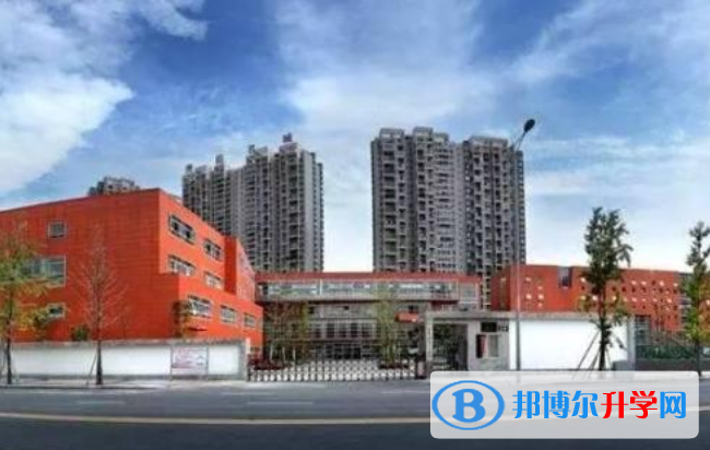 深圳科爱赛国际学校2023年招生计划
